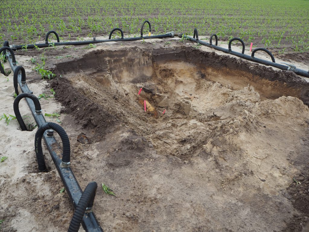 Das Unternehmensprofil